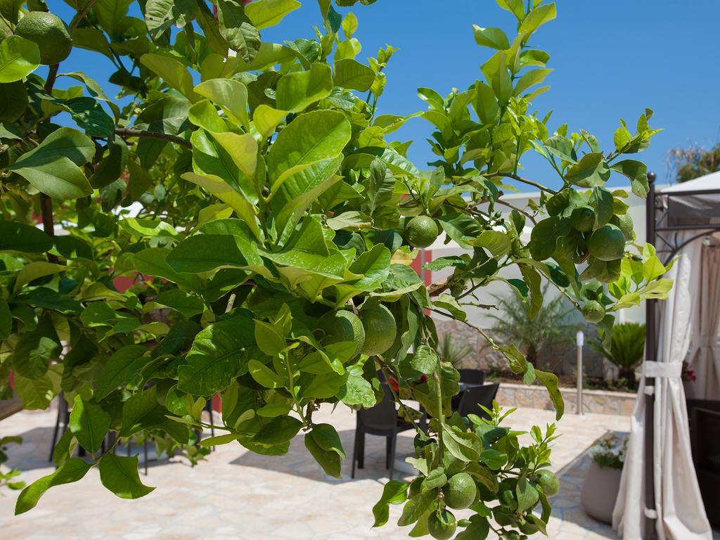 Hotel Bhagya Gallipoli Zewnętrze zdjęcie